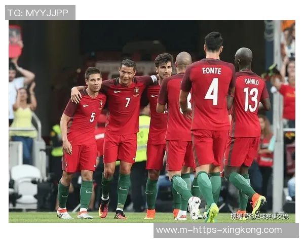 葡萄牙与冰岛足球对决数据分析及比赛回顾 葡萄牙与冰岛足球对决数据分析及比赛回顾