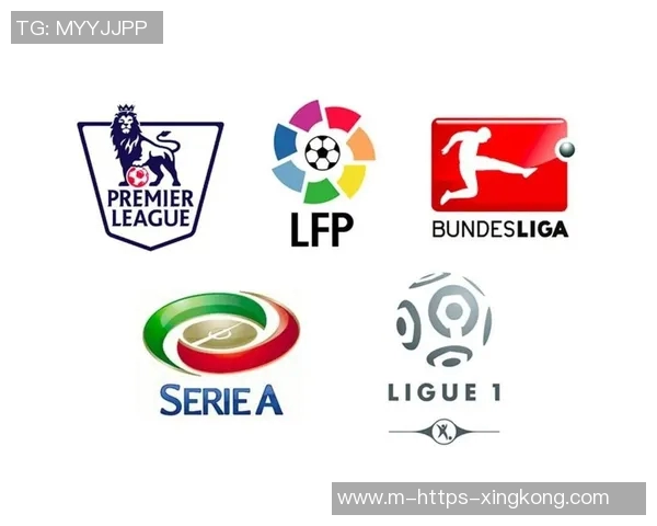 德国足球联赛等级解析从德甲到地区联赛的全面介绍与发展历程